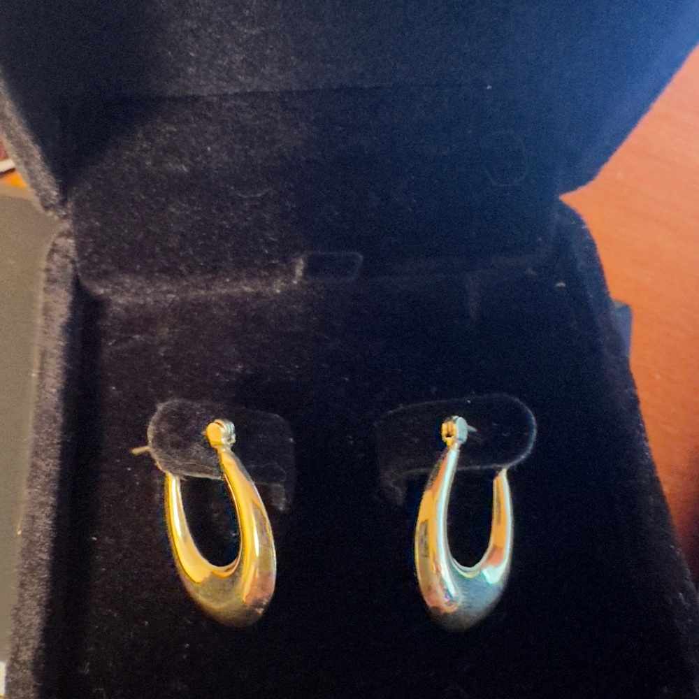 Elegant 14k Gold Oval Hoop Earrings